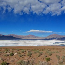 Salar de Huasco (200km East of Iquique)